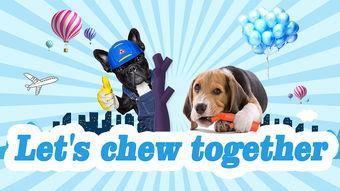 爆料宠物玩具视频大全,趣味无限,萌宠乐园视频大全  第3张 爆料宠物玩具视频大全,趣味无限,萌宠乐园视频大全  第3张