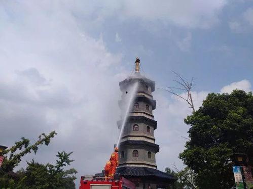 玉圭园最新爆料视频大全,揭秘神秘古园的奇幻之旅  第3张 玉圭园最新爆料视频大全,揭秘神秘古园的奇幻之旅  第3张