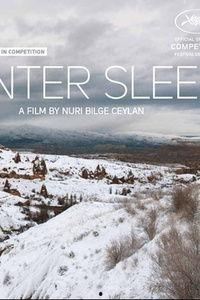 冬眠电影在线观看,在线观看,探索冰封世界的奇幻之旅  第3张 冬眠电影在线观看,在线观看,探索冰封世界的奇幻之旅  第3张