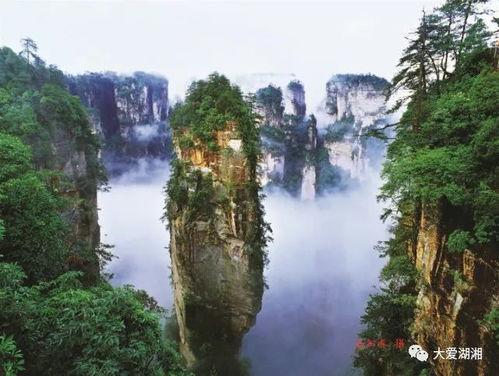 张家界吃瓜爆料新闻视频,揭秘当地美食背后的故事  第2张 张家界吃瓜爆料新闻视频,揭秘当地美食背后的故事  第2张