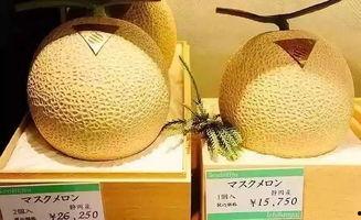 网红吃的网纹瓜,网纹瓜,口感与颜值并存的美味之旅