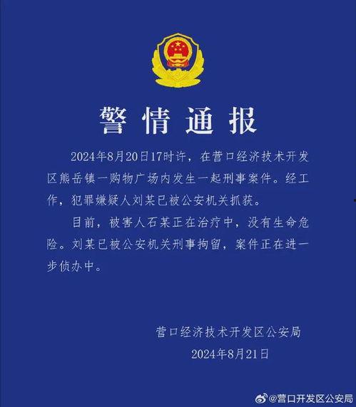 营口最新爆料消息,揭秘神秘事件背后的真相  第3张 营口最新爆料消息,揭秘神秘事件背后的真相  第3张