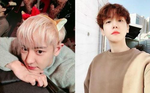 伯贤最新爆料,新作品背后的故事与灵感来源  第3张 伯贤最新爆料,新作品背后的故事与灵感来源  第3张